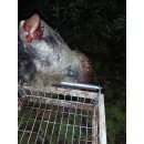 Wildkorbrolle für Gehetec Wildkorb