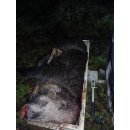 Wildkorbrolle für Gehetec Wildkorb