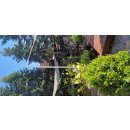 3 m Sonnensegelmast Rund 48,3mm